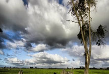摩纳哥遭遇连败，主帅布拉格姆遭到批评